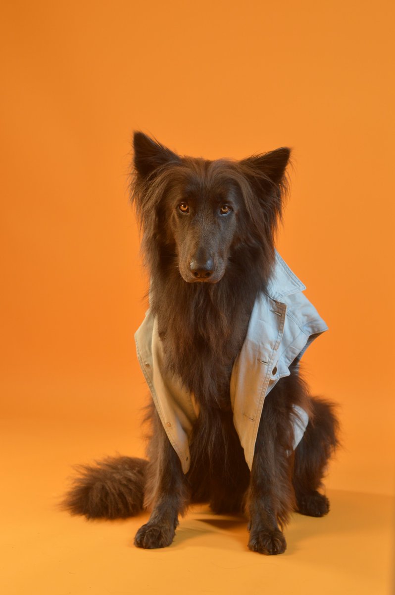 Dr Matthew Partridge tweet media