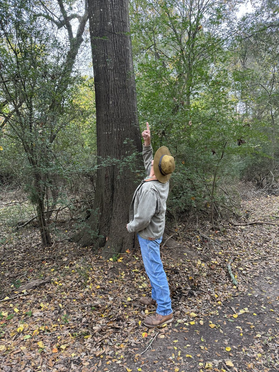 BethMooreLPM's tweet image. Keith to me just a moment ago as I’m heading out to the woods:

Lizabeth, care if i go walking with you? 

Me back: No, Babe! Pleased for you to! 

Then I think about every other walk we’ve ever taken and say, But can we maybe not stop and discuss every tree?

And 1 minute in,…