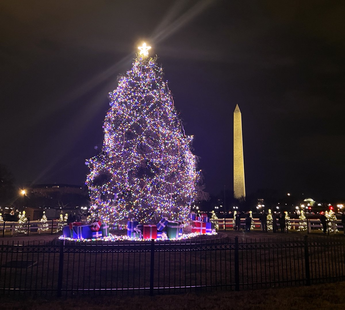 NationalMallNPS's tweet photo. If you're visiting the National Mall this month, don't forget to step across the street to see the National Christmas Tree. It's open to the public through Jan. 1, 2024 from 10am to 10pm Sunday-Thursday and 10am to 11pm Friday-Saturday: https://t.co/c14QLHnJ0u
🎄🎄🎄#WashingtonDC https://t.co/GCZdt8Obcr