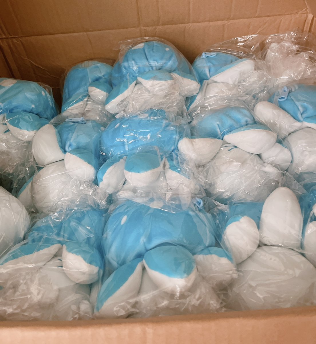 Bongoheads are home! However fulfillment will be delayed till End Jan/Early Feb due to Venti Wisp + Bottle Bag delay >< If you need to change your address please do so in this form: forms.gle/VtaJ3SEocP2MPN… Thank you everyone for your understanding!