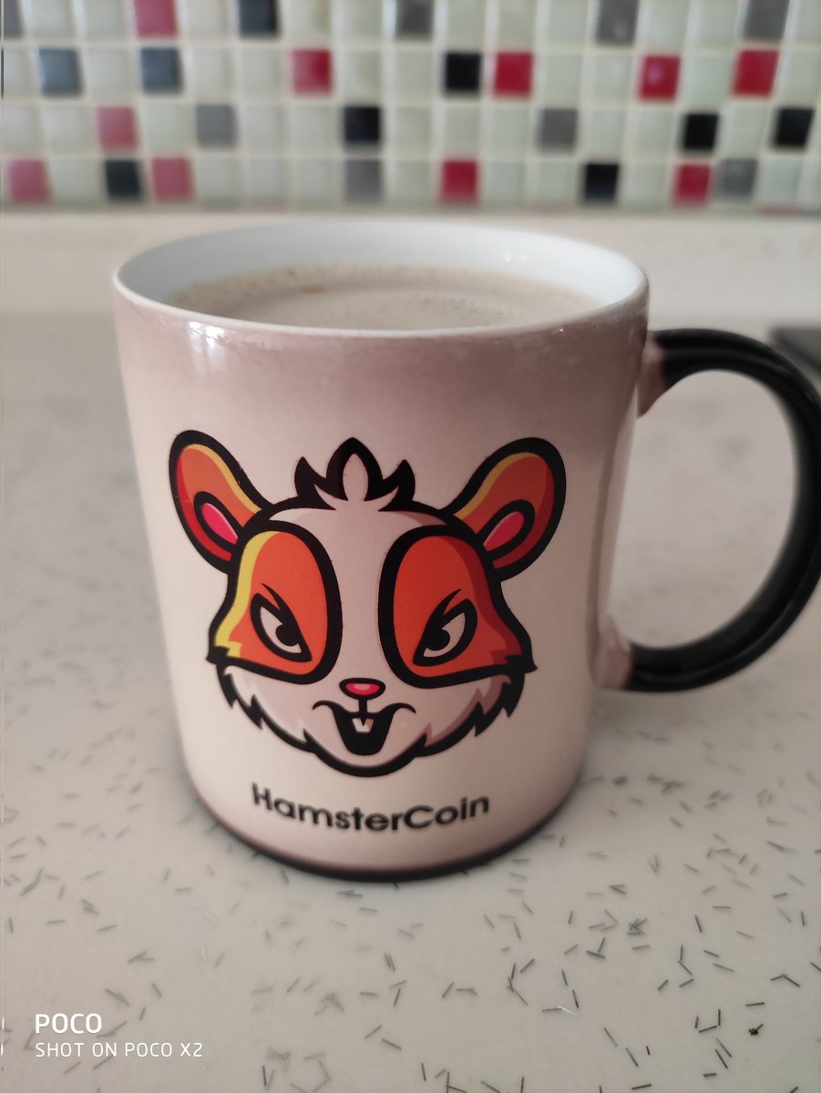 햄스터 공주🐹 tweet media