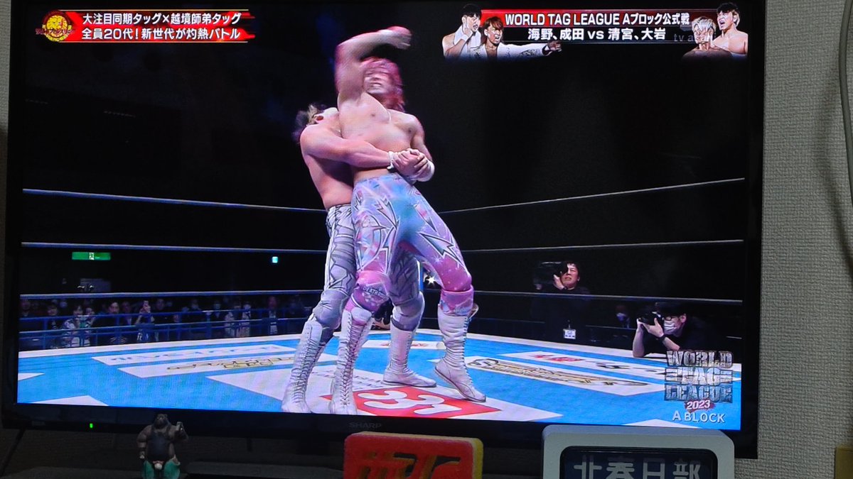 珍しく地上波でプロレスやってるが見たいのはケモレスなんだ