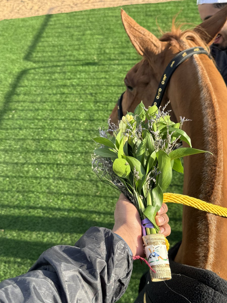 Mj🤍🐎 tweet media