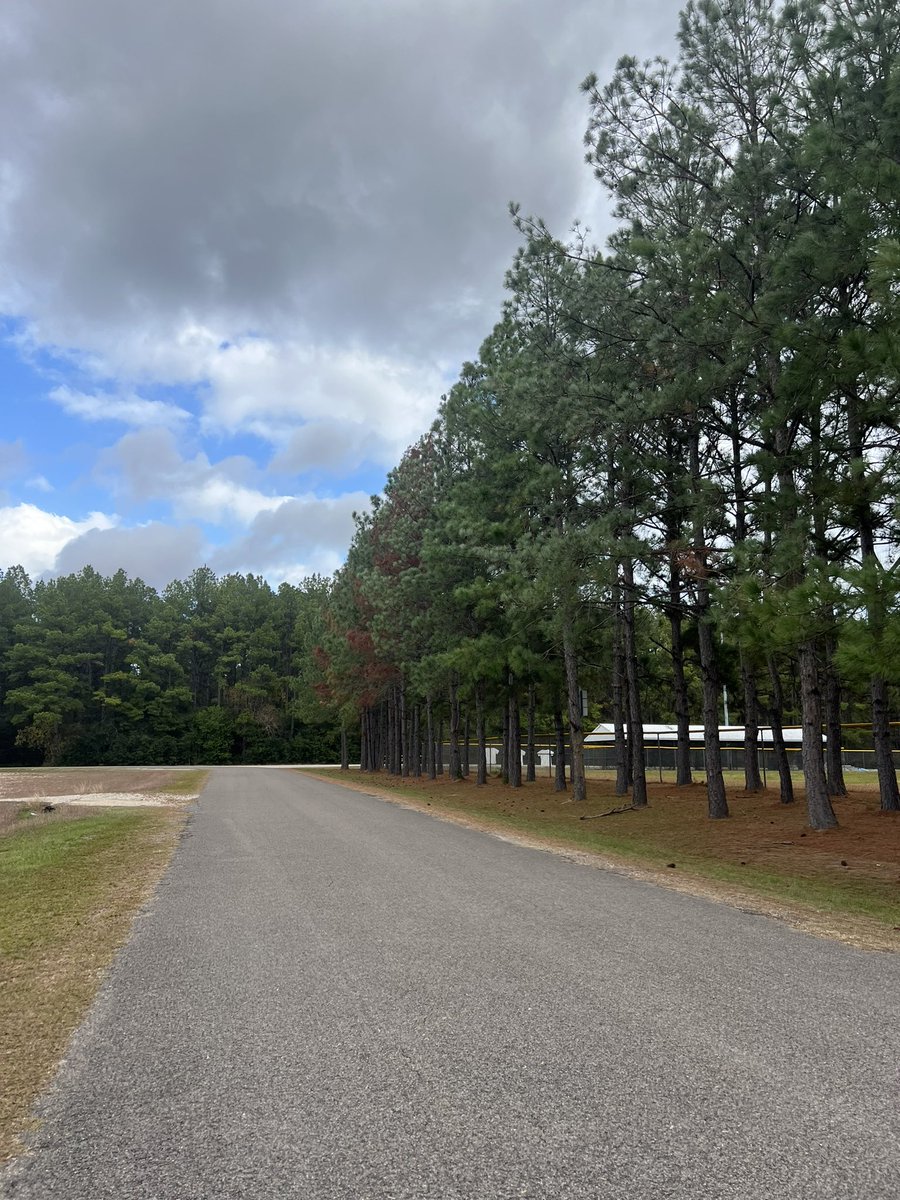 DrTiffanySpicer's tweet photo. Good morning and Happy Saturday! Don’t forget to take care of yourself while on this journey called life. #SelfCareSaturday #MevsMe #ICanDoHardThings #MyPaceMyRace #HalfMarathonTraining #ThisView #Priceless #MeTime 💙 https://t.co/UJ79tjRRtv