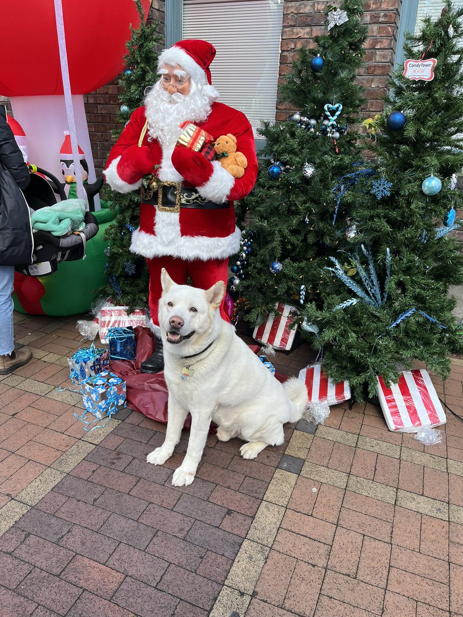 LennyNanZhou's tweet photo. Experience the magic of the season at @iyaletown’s 11th CANDYTOWN! 

Spreading holiday cheer in a spectacular winter wonderland while supporting a great cause - fundraising for @BCChildrensHosp! #yaletown #candytown 🎄🎅🎉🎁🎊📸 https://t.co/ifASzTQ0PH