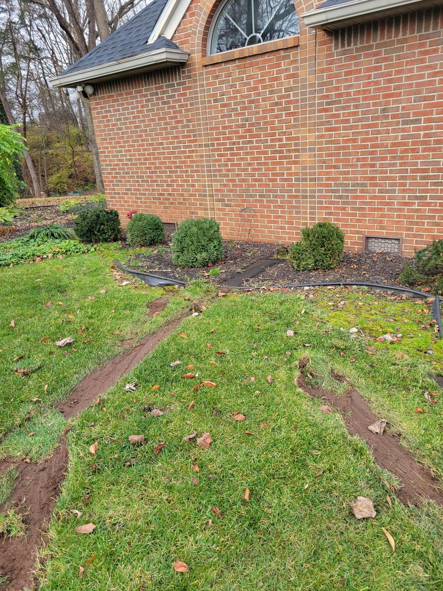 Kathy Lee tweet media