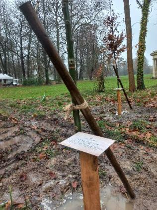 hautsdefrance's tweet photo. Aujourd’hui dans le cadre du projet de voyage vert de KO2/ Réseau Oise et du #PlanArbresHDF.

🌳 Aulnes impérialisme, platanes, peupliers à feuilles pourpres… 20 arbres ont été plantés au @CdeChantilly en #hautsdefrance. https://t.co/0q5PCV9lSY