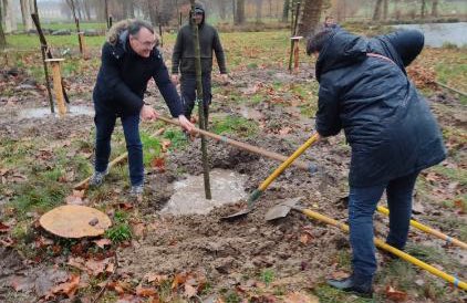 hautsdefrance's tweet photo. Aujourd’hui dans le cadre du projet de voyage vert de KO2/ Réseau Oise et du #PlanArbresHDF.

🌳 Aulnes impérialisme, platanes, peupliers à feuilles pourpres… 20 arbres ont été plantés au @CdeChantilly en #hautsdefrance. https://t.co/0q5PCV9lSY