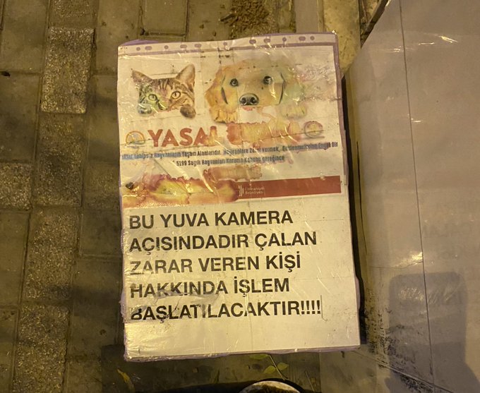 bi&ccedil;en marketten alışveriş yaptım &ccedil;ıkışta kapının &ouml;n&uuml;nde bunu g&ouml;rd&uuml;m bundan sonra alışverişin adresi bi&ccedil;en