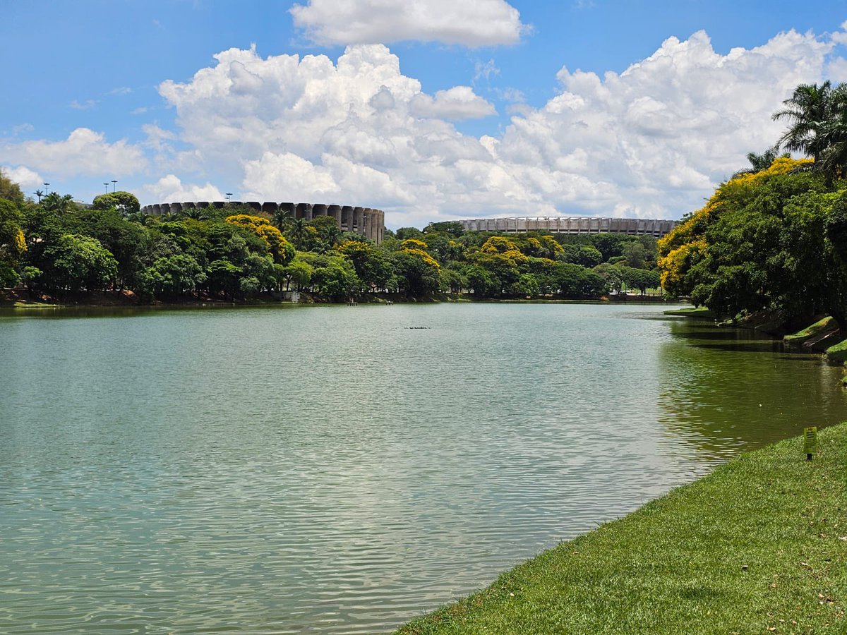 Roberta Moura tweet media