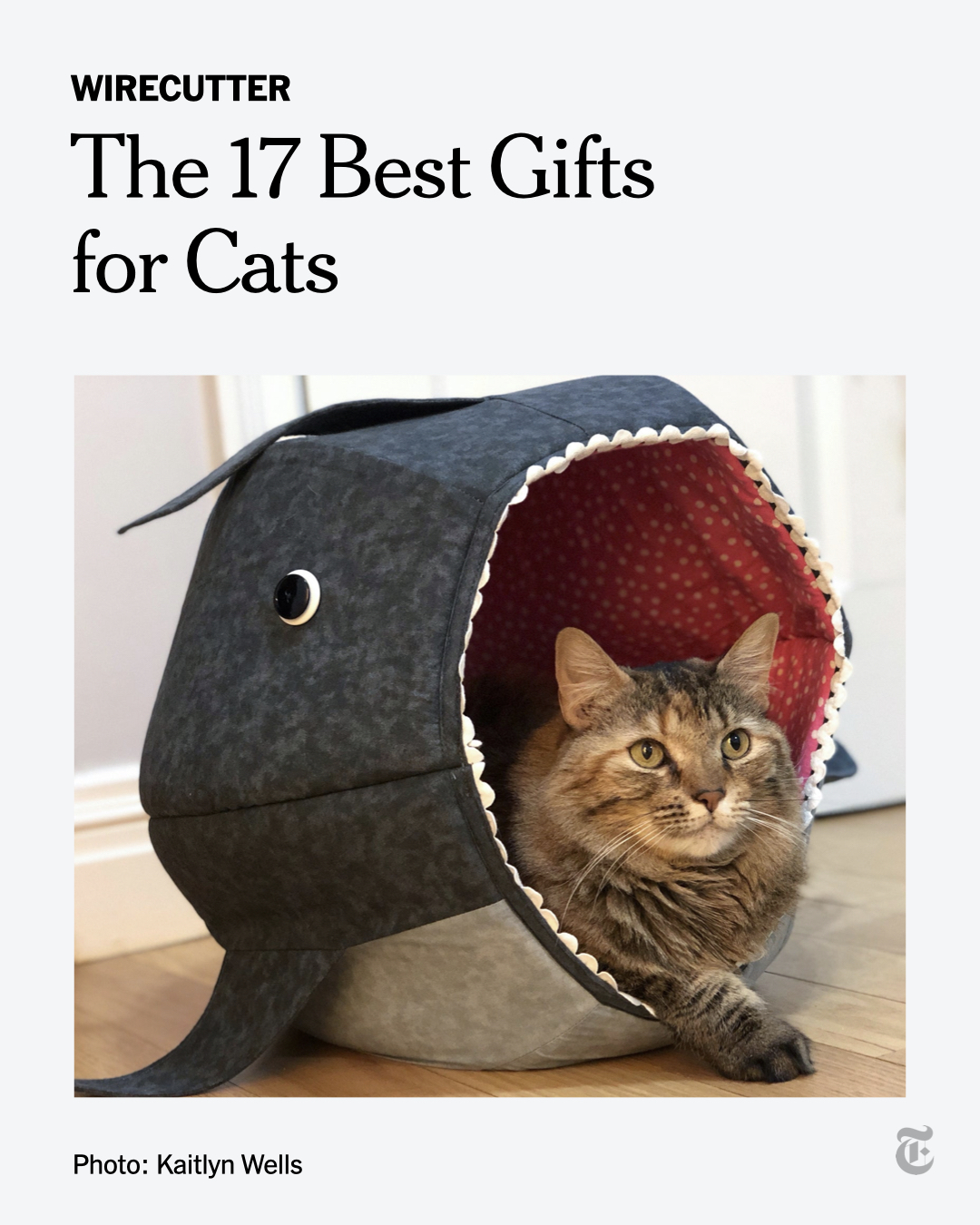Wirecutter top cat bed