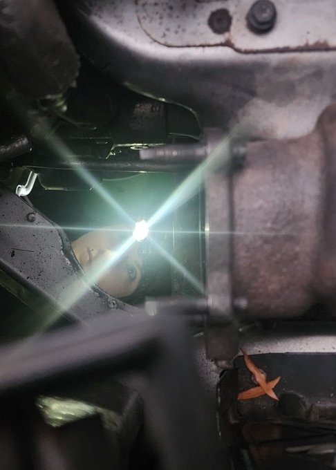 Just so you know, this is what I actually look like 😂 https://t.co/1qLuleAfBN