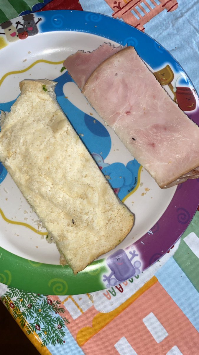 bfleisch51's tweet photo. @PicknSaveStores this is absolutely disgusting. Live bugs in a boss sandwich bought today. How can this happen?!?!?  Absolutely unacceptable. Never buying from your deli again!!! https://t.co/6wm9AOaZGH