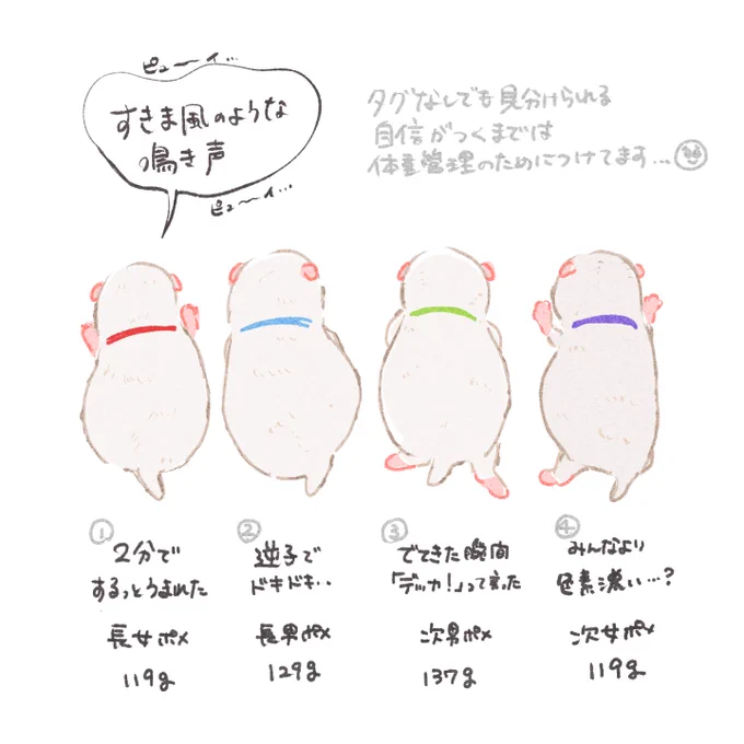 ポメ赤子たちのメモ…… 