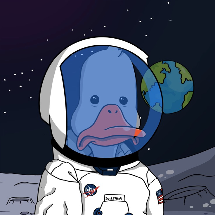 nspeer.eth tweet media