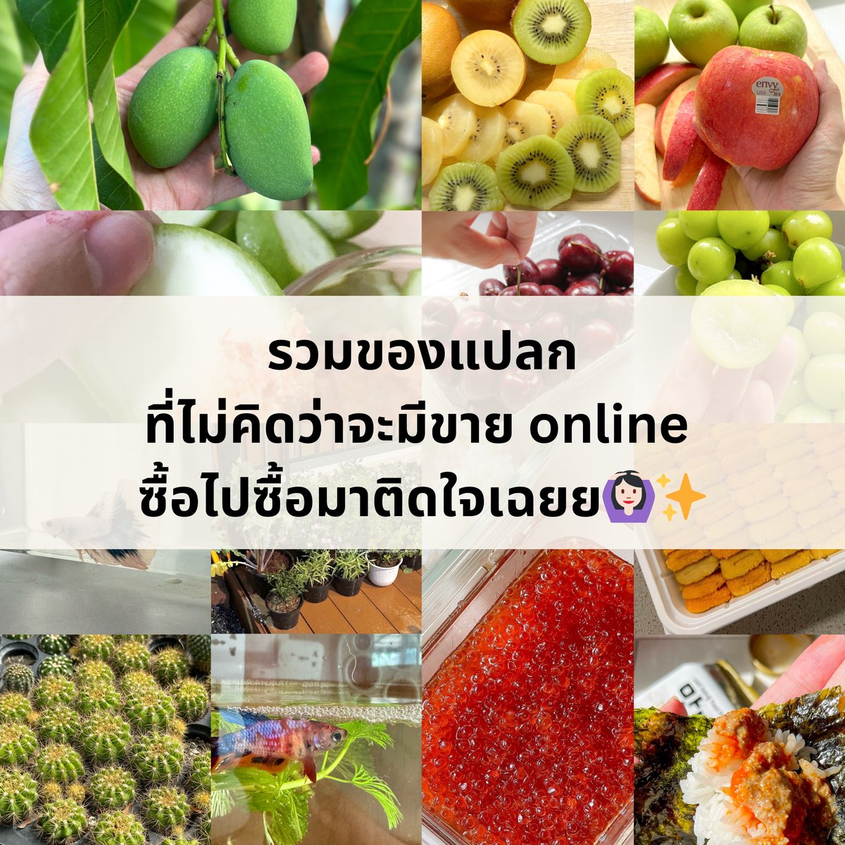 lookkaewlapp's tweet photo. รวมของที่ไม่เคยคิดว่าจะมีขายในออนไลน์ โคตรเปิดโลกเลยยย ยุคนี้ส่งได้ทุกอย่างจริงๆ https://t.co/133cRzAgWq