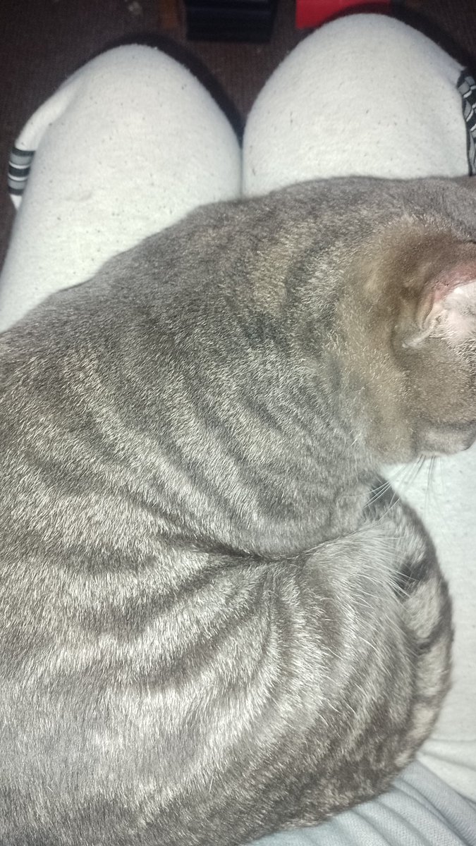 How do I make it move without feeling like a soulless monster? Asking for the numbest arse that ever arsed numbly.