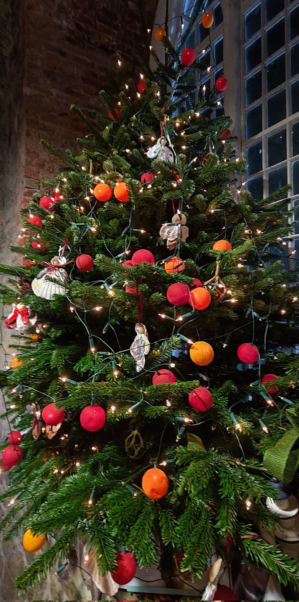 Cllr Marie Casserly tweet media