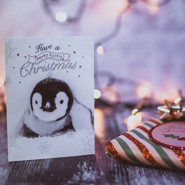 Stingrayvilla's tweet photo. Christmas Card Day honors its inventor today (Sir Henry Cole), the 09th of December.
The first-ever Christmas card depicted a family raising a toast. Salute!!!
.
.
#airbnbcozumel #airbnbhost #islacozumel #cozumelmexico #cozumel #airbnbfun #airbnbphoto #airbnbtravel https://t.co/pcArHaWGmj