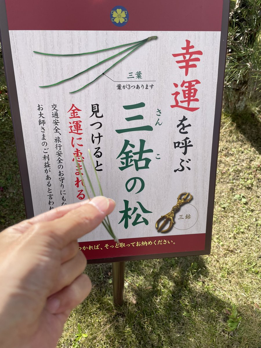 見つかった✨いいことあるかな☺️