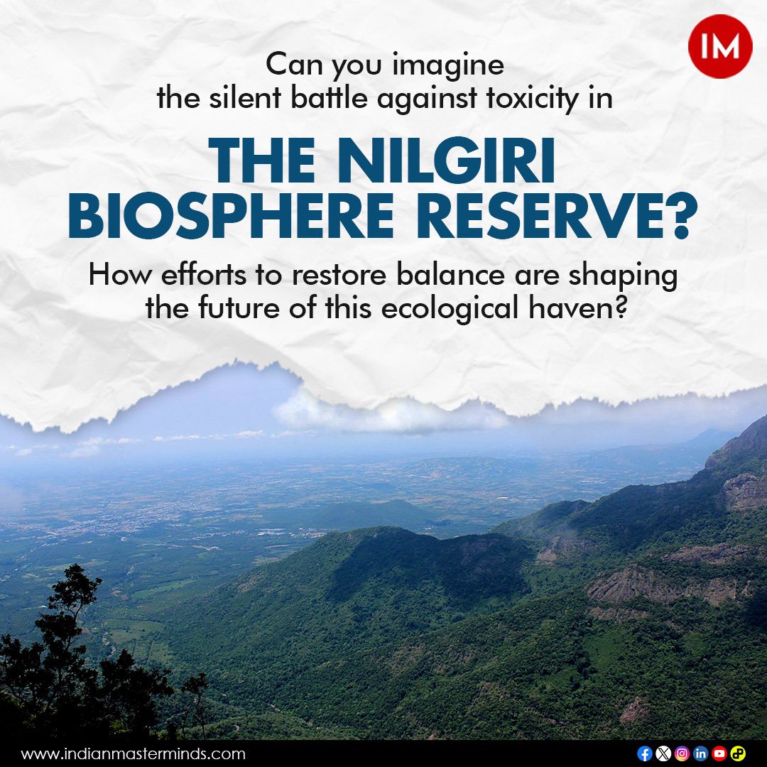 i3masterminds's tweet photo. “From invasive weed to paper magic! Explore the incredible journey of turning toxic invaders into writing paper in the Nilgiri Biosphere Reserve.
Discover the secret behind this eco-friendly transformation. Click now!
https://t.co/N9jCSo38qY
@tnforestdept
#EcoMagic #PaperFromWeeds #NilgiriBiosphere #tamilnadu #tamilnaduforest #tamilnadutourism #tamilnadudiaries #tamilnadunews #tamilnadugovernment #tamilnadutravel #tamilnadutourism