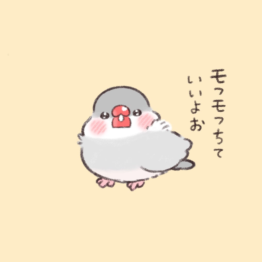 文鳥さんのモフモフな場所。