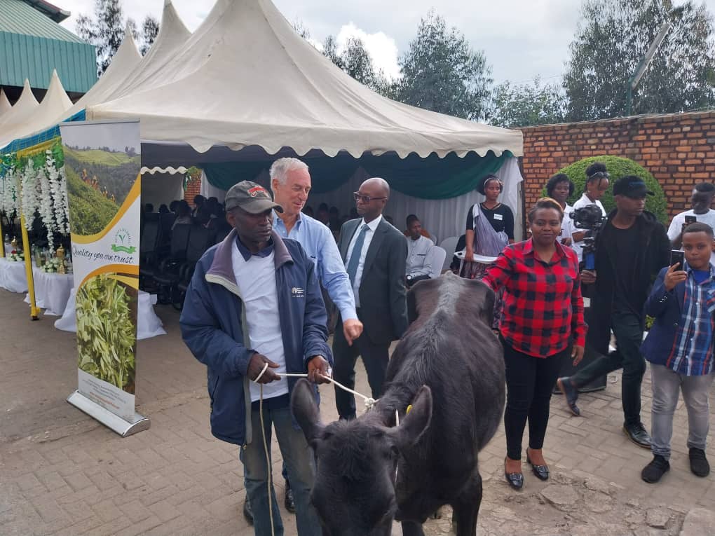 NyabihuDistrict's tweet photo. Umunsi ngarukamwaka w'umuhinzi w'icyayi n'umusoromyi ufite insanganyamatsiko igira iti " Uruhare rw'umuhinzi n'umusoromyi w'icyayi mu iterambere ry'ubukungu n'iterambere ry'Igihugu" wizihirijwe ku ruganda rw'icyayi rwa Nyabihu, witabirwa na V/MSA, @SimpenzweP. https://t.co/kWpcQyBKxg