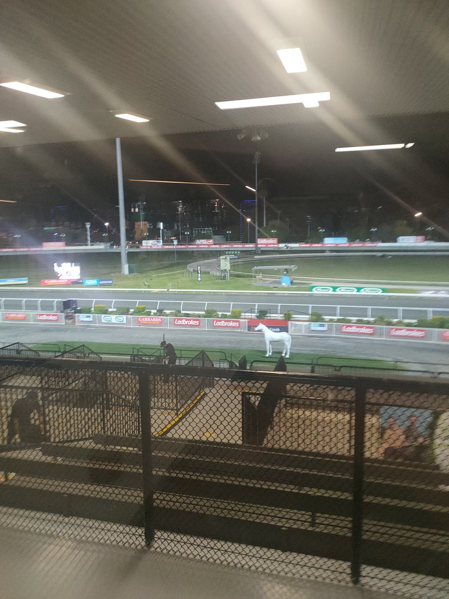 Your_Shout_Next's tweet image. Brisbane short trip. Casino next.
#junket