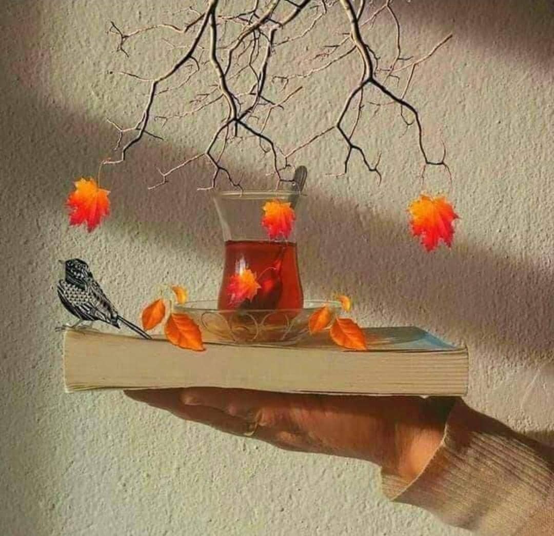 👑 پرخه🇦🇫 غزل 👑 (@prkhh_ghzl) on Twitter photo ټولنه هلته دِ آرامۍ او شکلا رنګ آخلي
چې اِنساني کړنې پۀ مِهربانۍ او همکارۍ ولاړې وي.
<a href="/prkhh_ghzl/">👑 پرخه🇦🇫 غزل 👑</a> 👑💫
<a href="/maryam_g11/">❤faryal afghan💙</a> ❤
<a href="/tanzeela_19/">Tanzeela🍂🥀</a> ❤
@QUeeNAyeesha12 ❤ ټولنه هلته دِ آرامۍ او شکلا رنګ آخلي
چې اِنساني کړنې پۀ مِهربانۍ او همکارۍ ولاړې وي.
<a href="/prkhh_ghzl/">👑 پرخه🇦🇫 غزل 👑</a> 👑💫
<a href="/maryam_g11/">❤faryal afghan💙</a> ❤
<a href="/tanzeela_19/">Tanzeela🍂🥀</a> ❤
@QUeeNAyeesha12 ❤