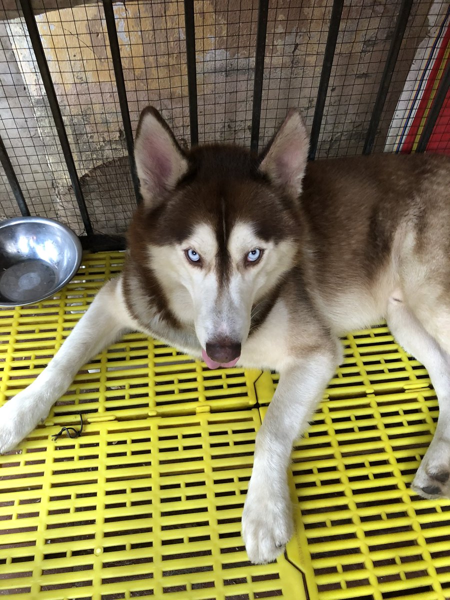 Cùng tt để tăng fl và view bât kiếm xiền nào mng. Fl có thông báo mình fl lại luôn nhé! 🥰🥰