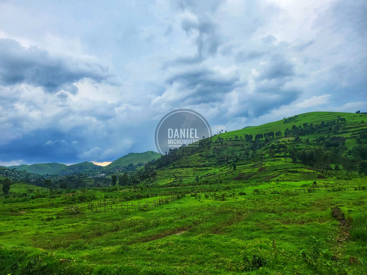 Combats #M23_RDF_Wazalendo : 14h 45, les jeunes résistants Wazalendo ont stoppé la progression du #M23 /#RDF à 6 km à l'ouest de la route nationale numéro 2 axe Sake Minova à Kirotshe.
Depuis 8h 45, les jeunes résistants Patriotes font face aux rebelles du M23 /RDF dans les