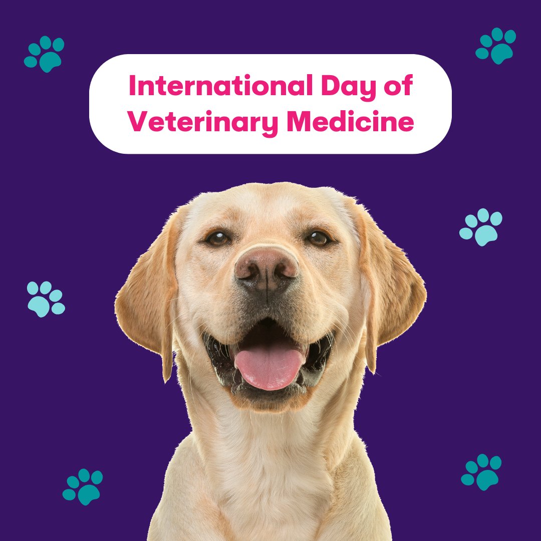 Happy International Day of Veterinary Medicine! Thank you to those who keep animals healthy and happy. 💜