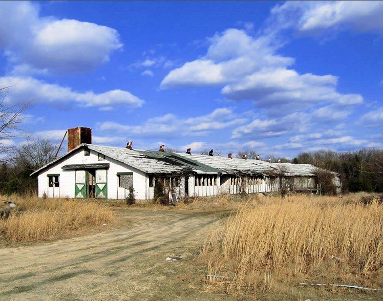 TomsRiverOnline's tweet image. It is OLD PHOTO SATURDAY...today's photo shows the egg farm on Old Freehold Road (north of the Parkway underpass, near Todd Road). The chicken coops were torn down in 2007.  #oldphoto #tomsriver #oceancounty