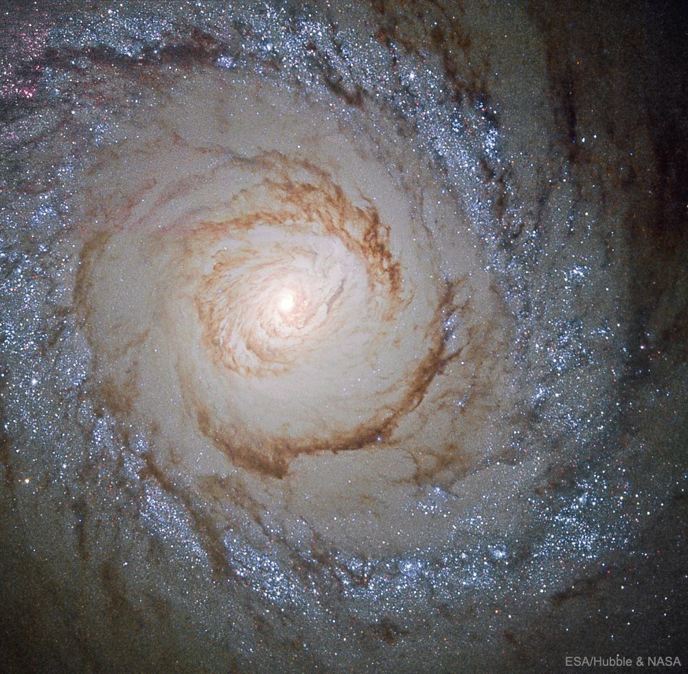 Messier 94 es una bonita galaxia espiral. ¿Por qué tiene un anillo de estrellas azules? Se debe a que M94 es una galaxia en brote estelar, está formando estrellas a un ritmo muy rápido (en comparación a lo normal). Está a 15 millones de años-luz, de la Vía Láctea. #FelizSabado