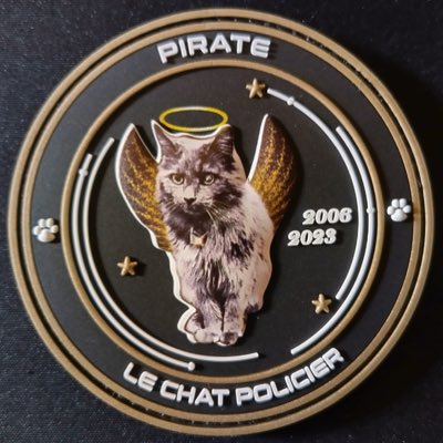 #NouvellePhotoDeProfil