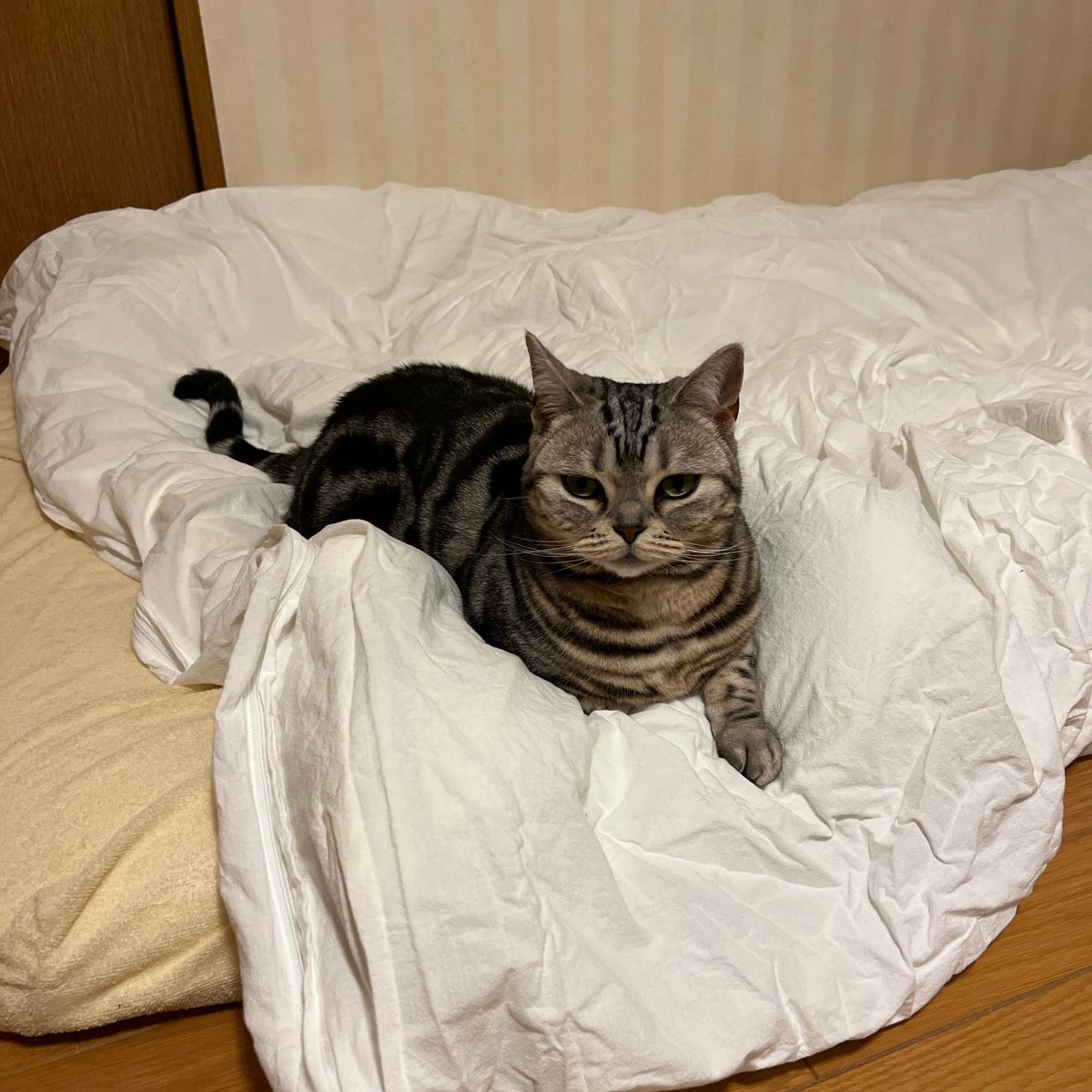 遊びたいスリ美。