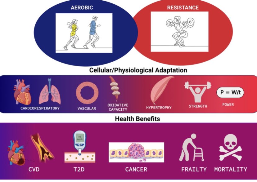 Soothsaying... expects series of tweets pushing back against the @American_Heart report on RT and vascular health... is lifting really as good as aerobic?! Of course not, but neither is the latter as good as RT for developing strength and power! Their health benefits: big…