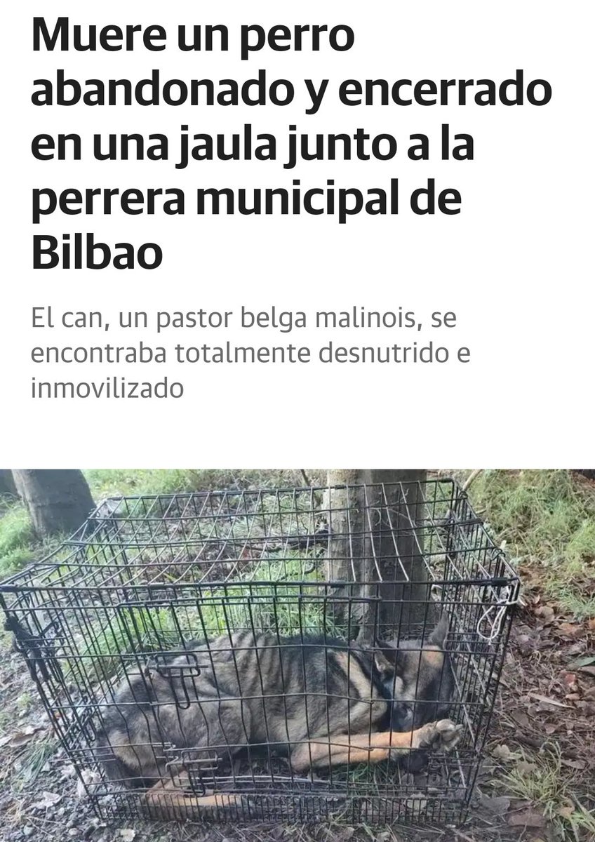 Rubén Pérez tweet media