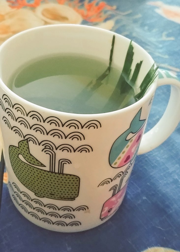 DKAstrology's tweet photo. My #fevergrass bush really grew this year.
Fevergrass tea is full of vitamin A and C and it's really good for you. 🙏✨🍵 https://t.co/lQKLYV6Qnb