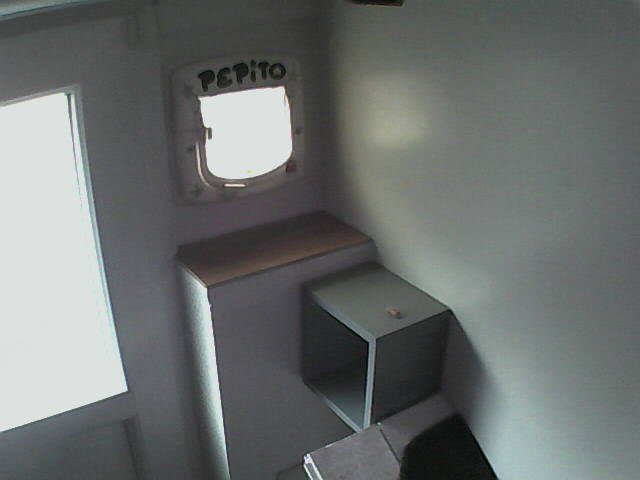 PepitoTheCat's tweet image. Pépito is back home (14:35:51)