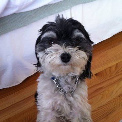 galbert236's tweet image. #NewProfilePic