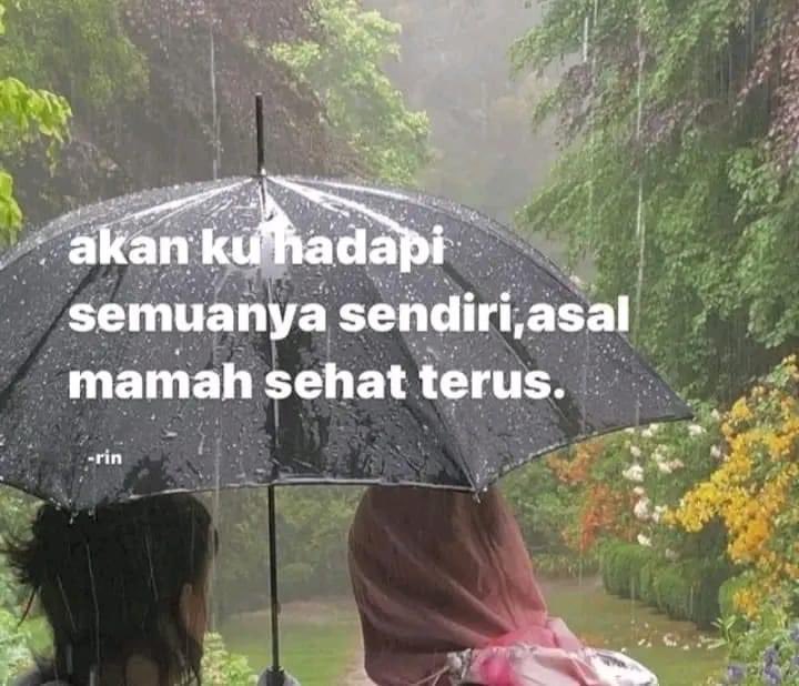 sosmedkeras's tweet image. 