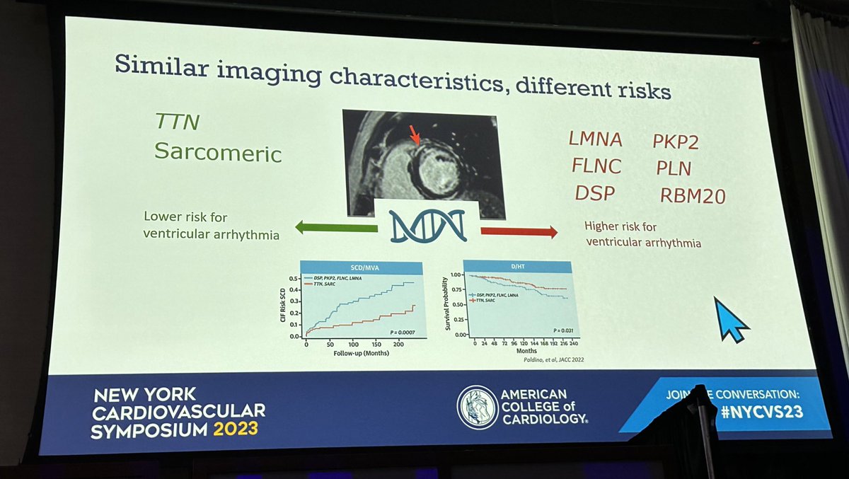Leandro Slipczuk tweet media