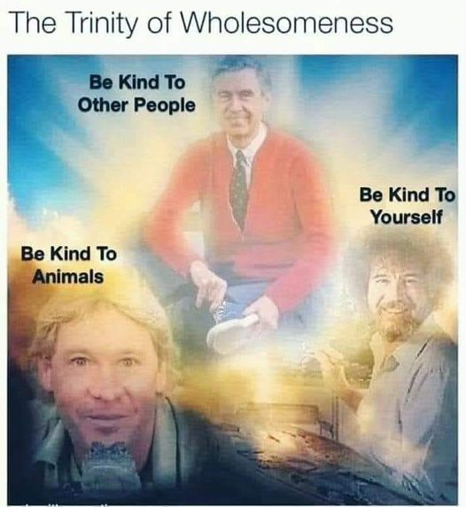 Respectful Memes (@respectfulmemes) on Twitter photo 