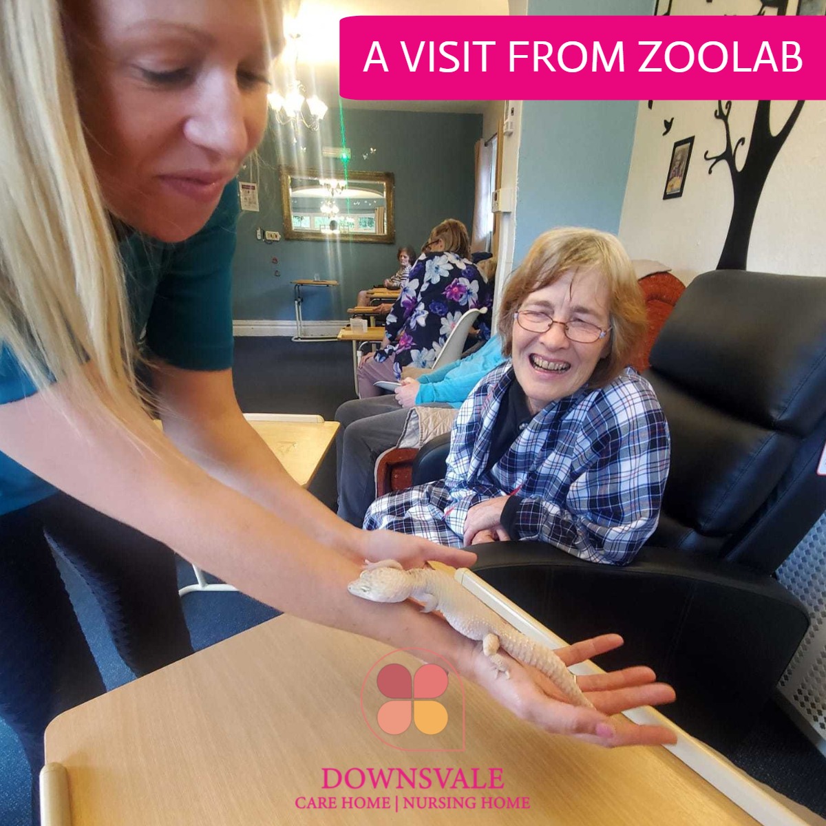 downsvale's tweet photo. A Visit From Zoolab
#NursingHome #CareHome #CareHomeDorking #CareHomeSurrey #DementiaCare #Dementia #PalliativeCare https://t.co/RxhI9txfGt