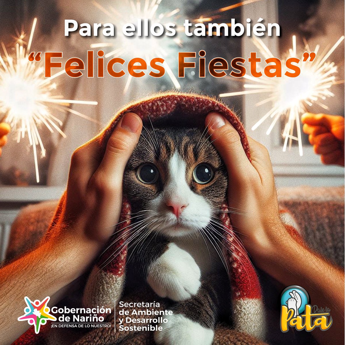 AmbienteSec's tweet photo. ✨🎄Para nuestros animales "Felices Fiestas" significa brindarles seguridad y tranquilidad de su entorno. Tomemos decisiones conscientes para garantizar que todos los miembros de nuestra familia, incluso los peludos, puedan disfrutar de las festividades sin miedo ni ansiedad. https://t.co/Kx3UvZXzGK