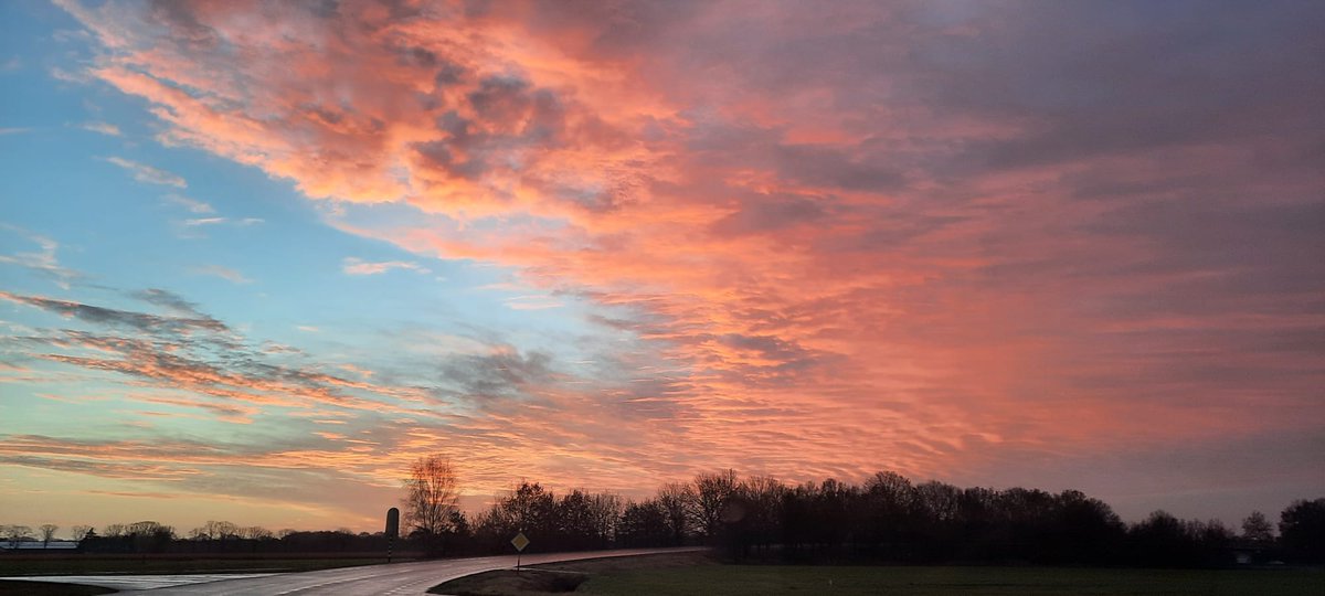 HBDeGrooteHeide's tweet photo. De lucht zag er vanmorgen schitterend uit voor de oogstploeg. Geoogst is een bijzondere knol. De Yacon. Gebruikt als basis in de yakult drankjes die iedereen wel kent vanuit de supermarkt. Dagelijks  een klein schijfje van deze knol en je komt de  winter wel  door 👨‍🌾🦃🥕😊 https://t.co/P0En7okIMI