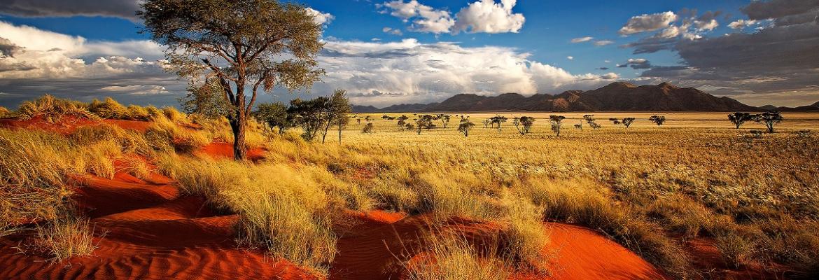 Namibia sells clean air rights to its pristine lands to Japan. It's a "net zero" deal: industrialised countries earn credits toward air quality treaty commitments by partnering with non-polluting countries. (Not sure how that reduces global warming if no emissions actually cut?)