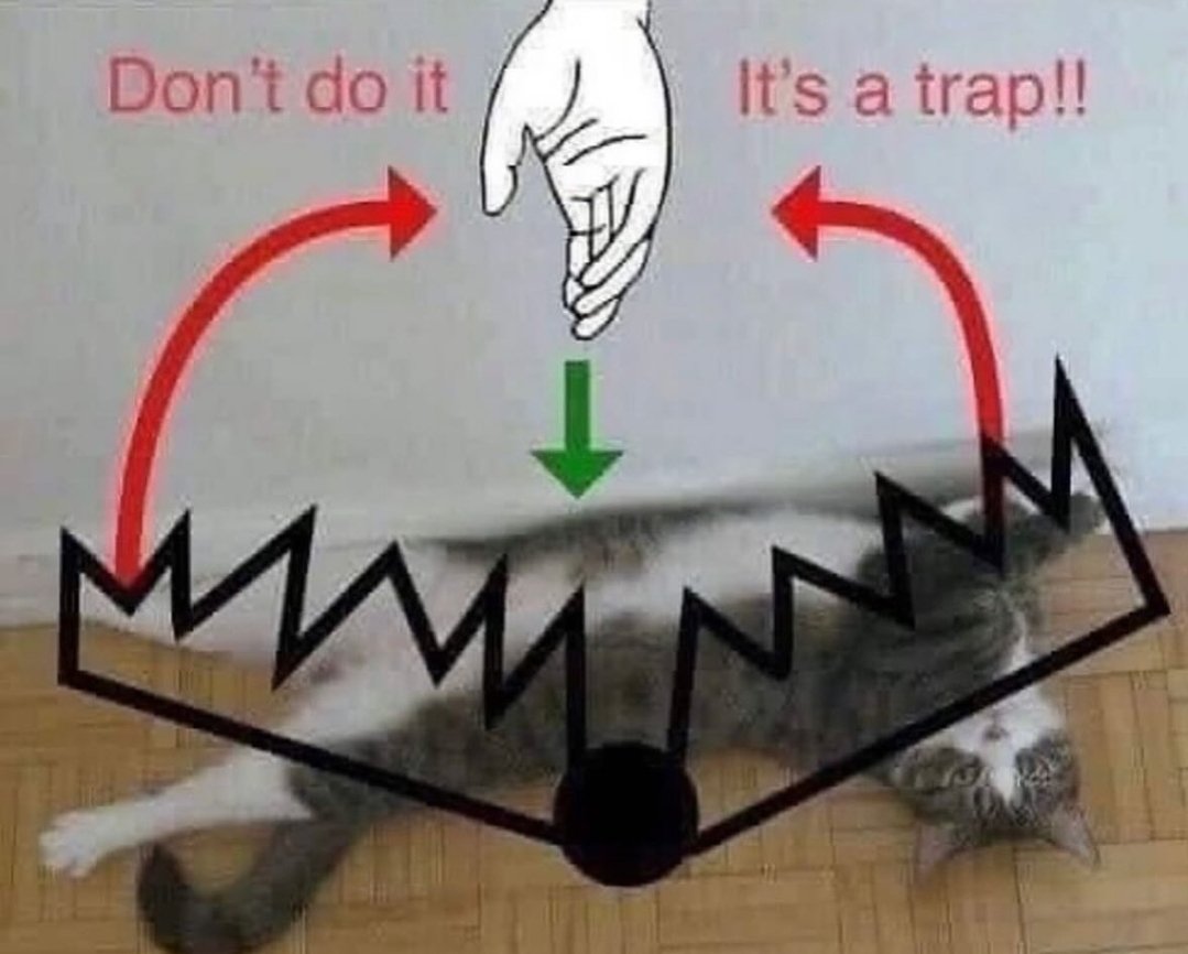 Catsillyness's tweet image. 