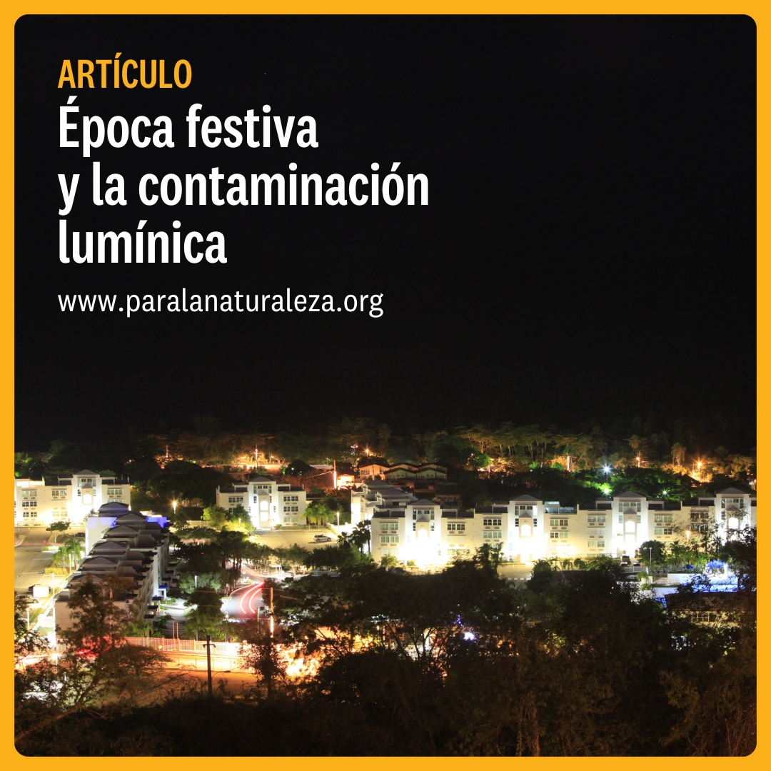 La iluminación en época festiva es hermosa, pero tiene consecuencias a los ecosistemas, por lo que debemos ser prudentes en su uso para proteger la vida silvestre. Lee el artículo aquí:ow.ly/7fZf50QgNRS